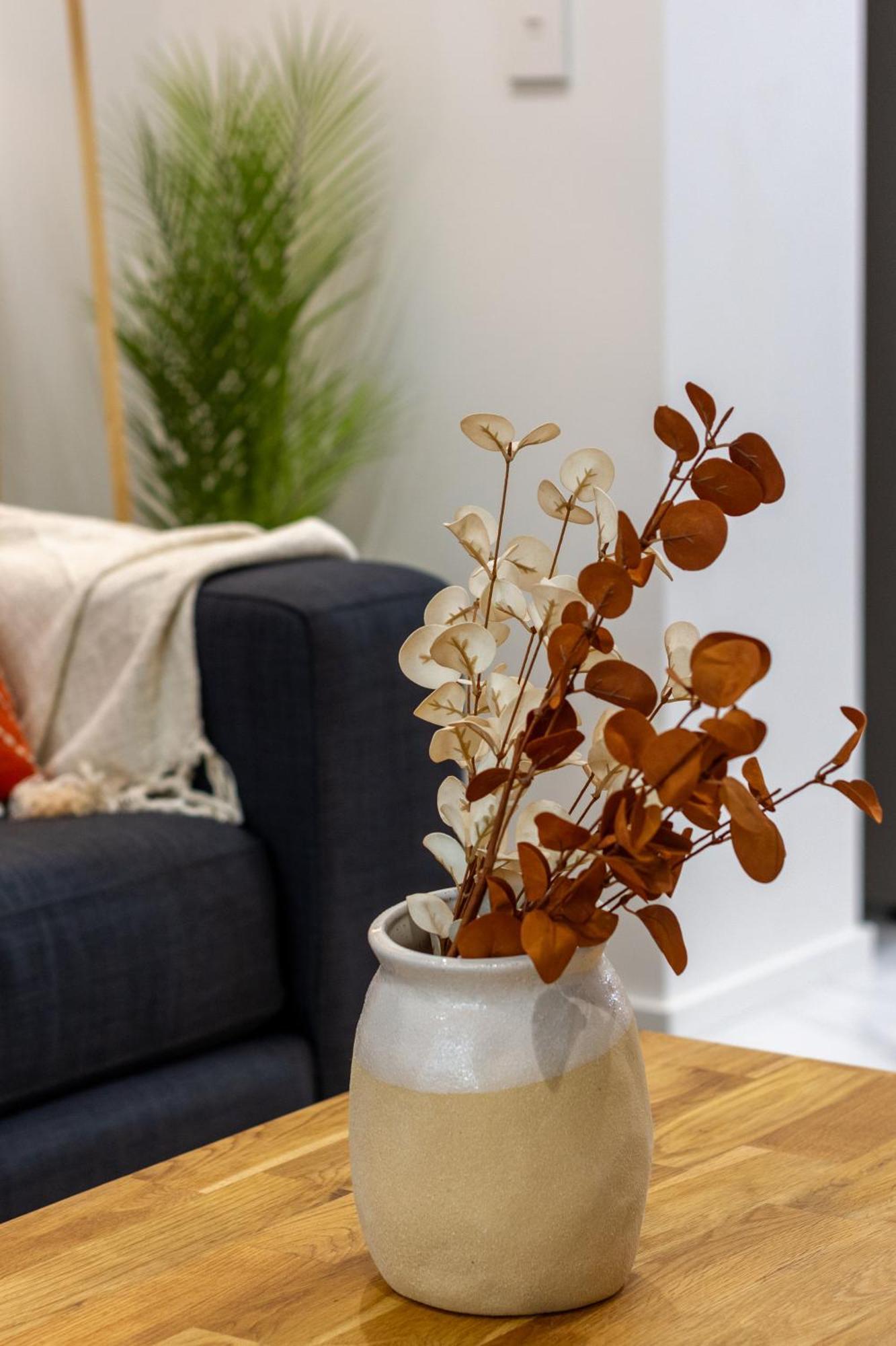 Modern City Lifestyle: 2 Bedroom 1 Bath Christchurch Luaran gambar